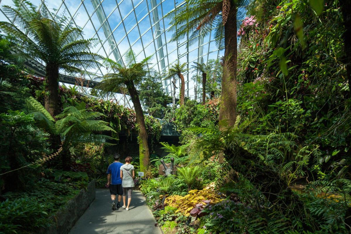 新加坡世界级超级温室花园 Ala Designdaily
